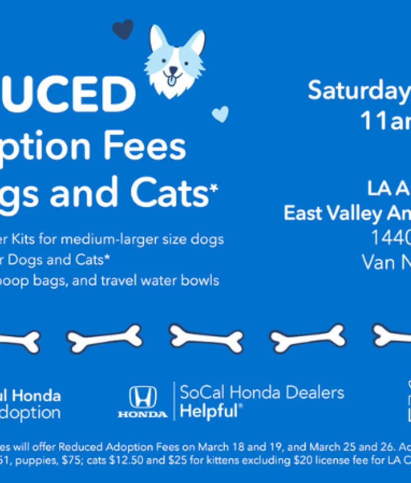 SoCal Helpful Honda Pet Adoption VAN NUYS LA Animal Services